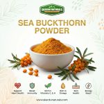Himalayan Sea Buckthorn Powder close-up