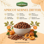 Apricot Kernel (Bitter) natural raw seeds in bowl with fresh apricots