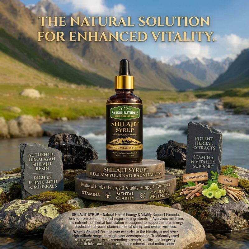 Shilajit Syrup – Natural Herbal Energy & Vitality Support Formula